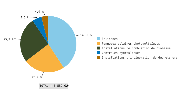 Production d'électricité à partir d'énergie issue de sources renouvelables (EnR) en Wallonie, par modes de production (2020)